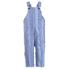 Blue Stripes Denim Overall