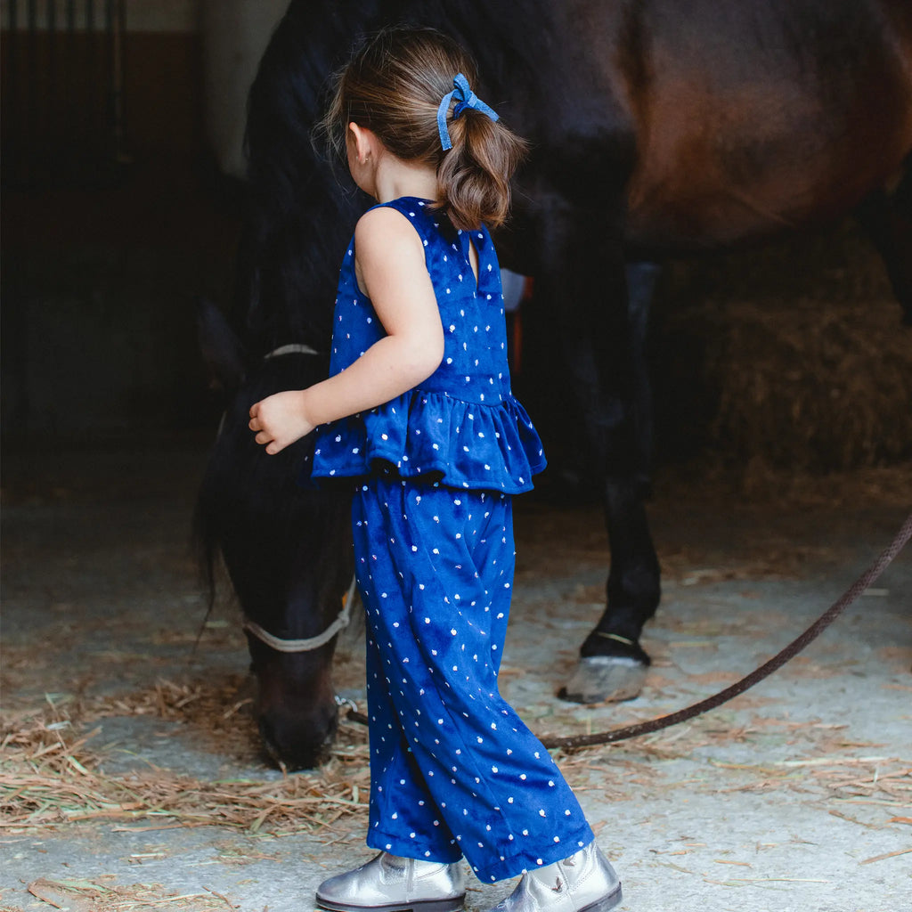 Navy Sequin Velvet Pants 