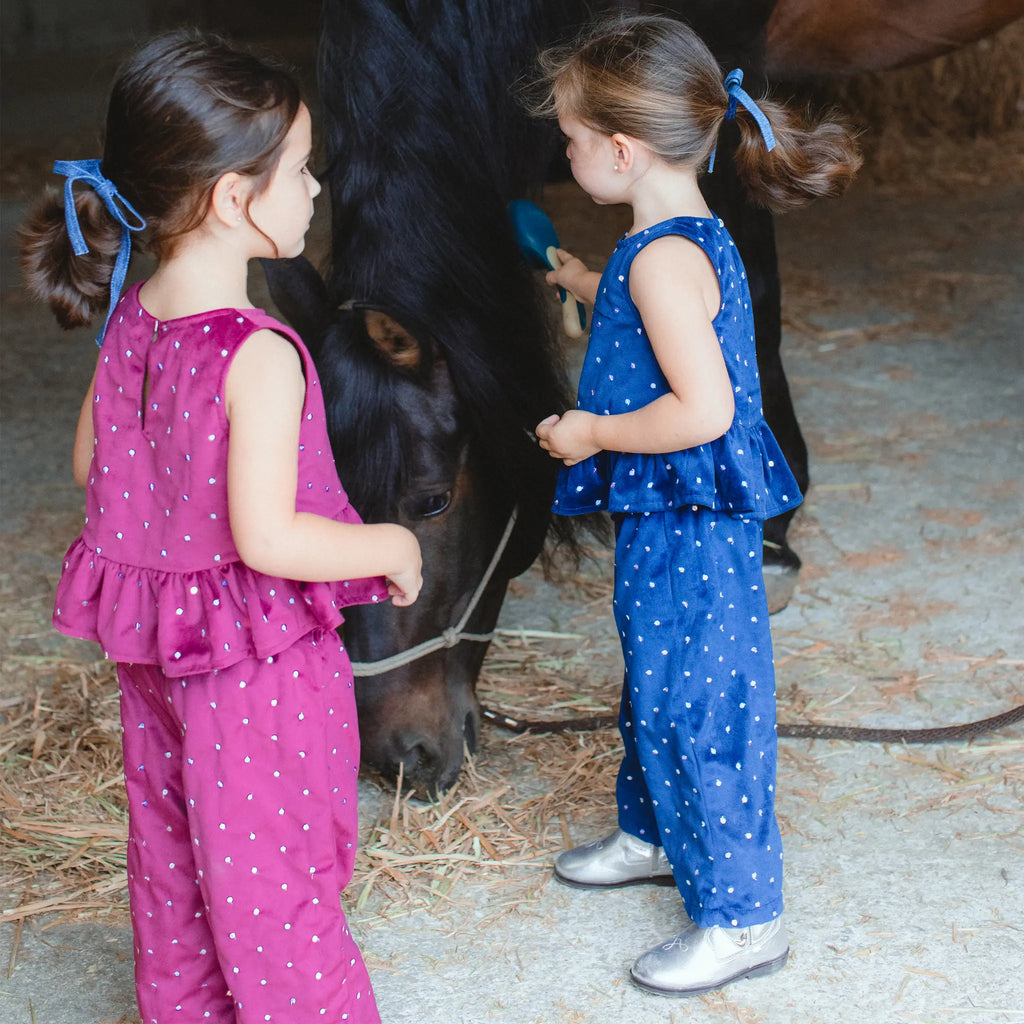 Navy Sequin Velvet Pants 